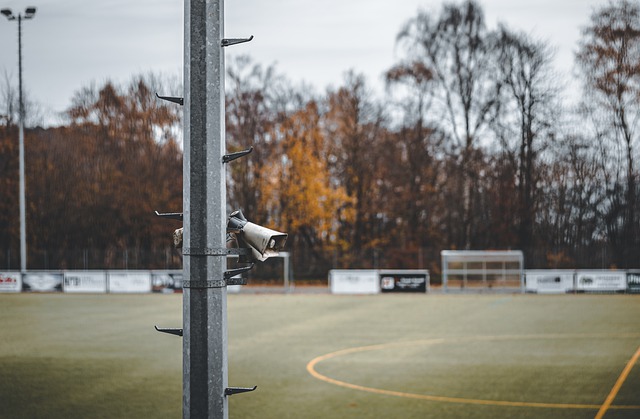 他的努力没 他的努力没