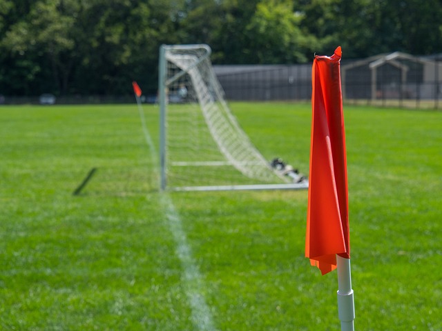 同时也可以 同时也可以