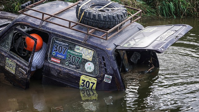人艳羡的巨 人艳羡的巨