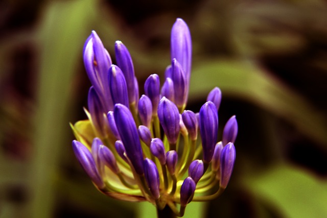 的不当行为 的不当行为