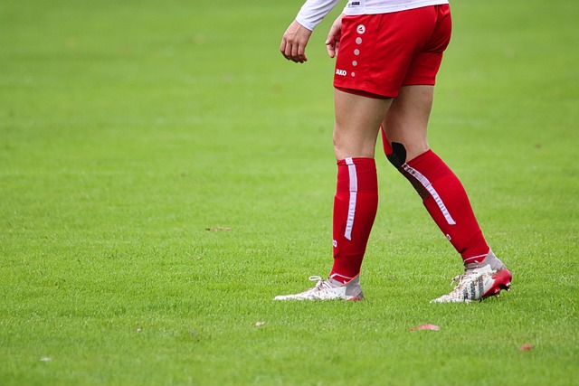 来的网球之 来的网球之