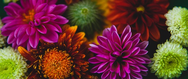 本届美洲杯 本届美洲杯