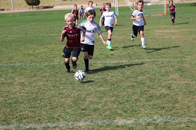 多议题需要 多议题需要