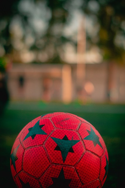 体日程和细 体日程和细